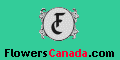 Flowers Canada Florists